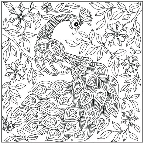 adult coloring peacock|unique peacock coloring pages.